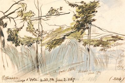 ペッテナスコ、ラゴドルタ、1867年6月2日午後4〜20（224） 作： Edward Lear